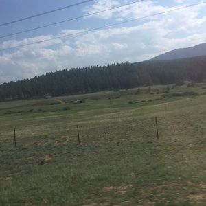 Meet your Posher, Stacy